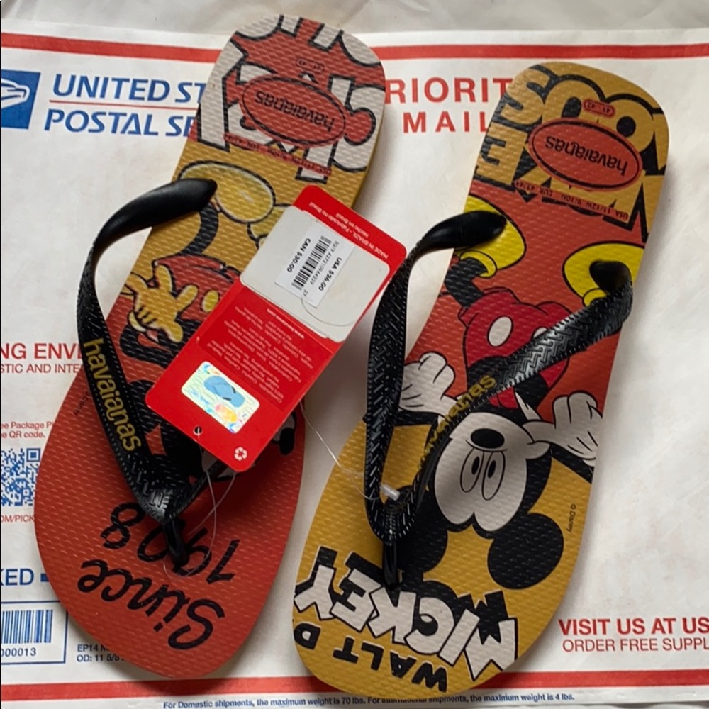 Men sandals Havaianas